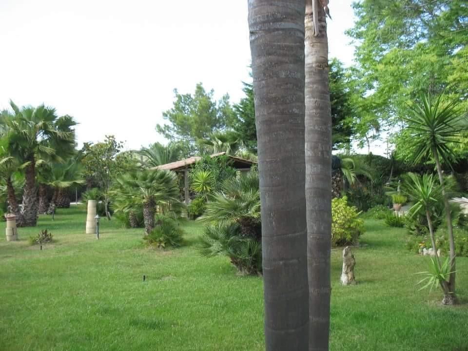 Villa Cecilia Matino Exterior photo